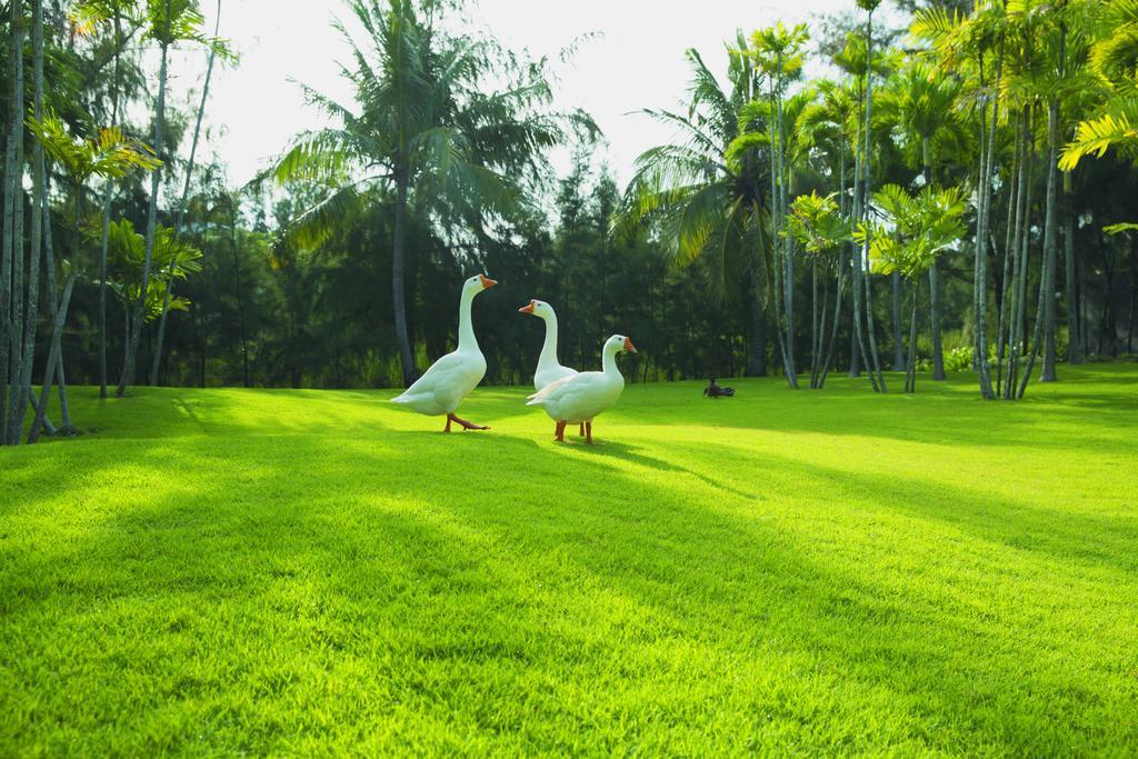 Sanctuary Residential Resort Communityブンタオ エクステリア 写真